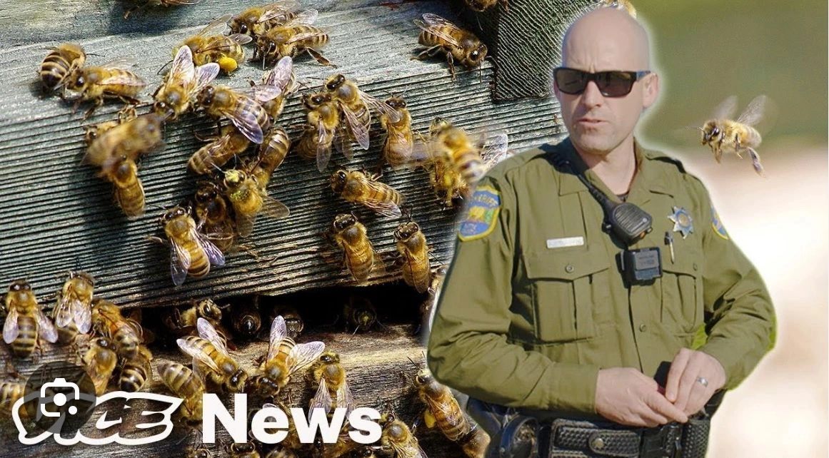 VICE News coverage